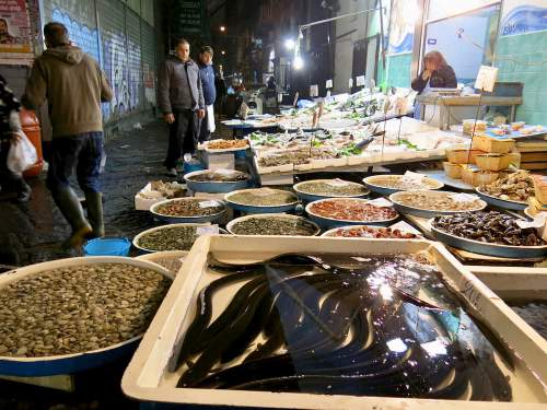 生きたままのウナギを売る魚屋（ナポリ）