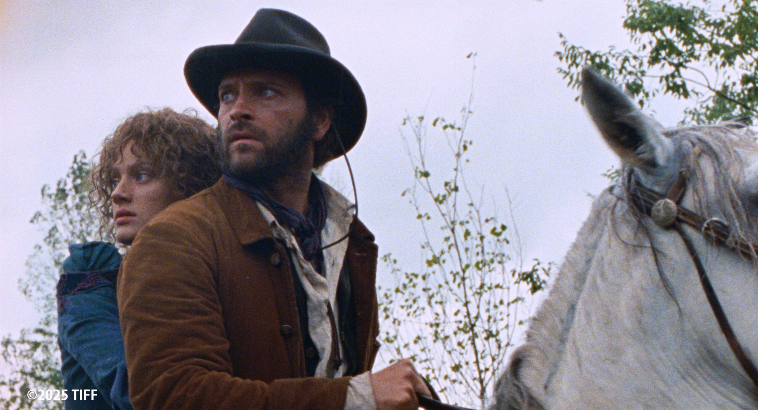 映画「裏か表か？」の場面