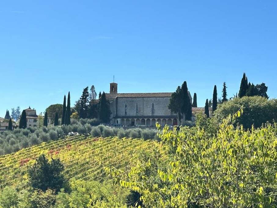 オリーブの木とぶどう畑に囲まれた聖ルッケーゼ聖堂