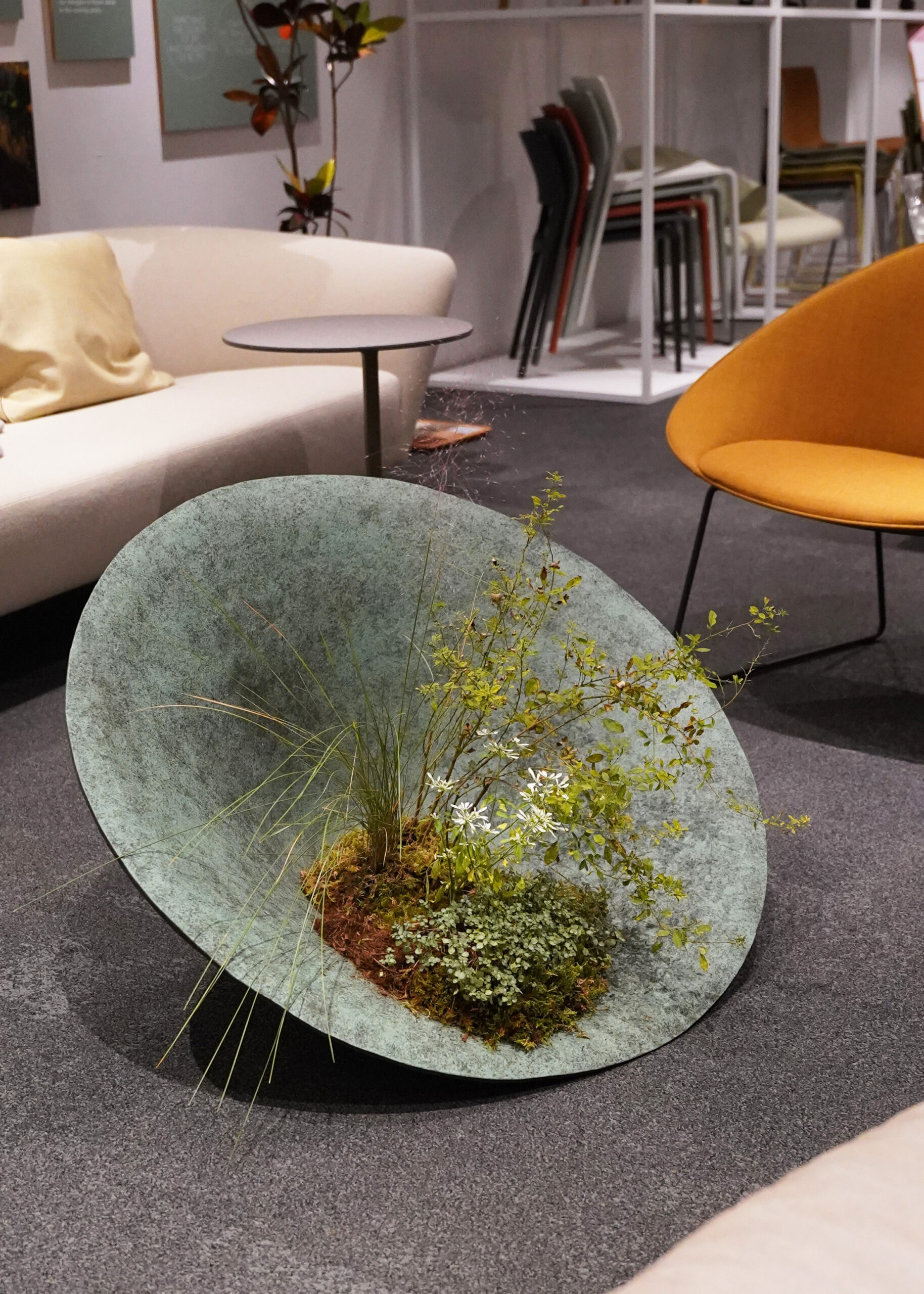 Arperのショールームのプランター