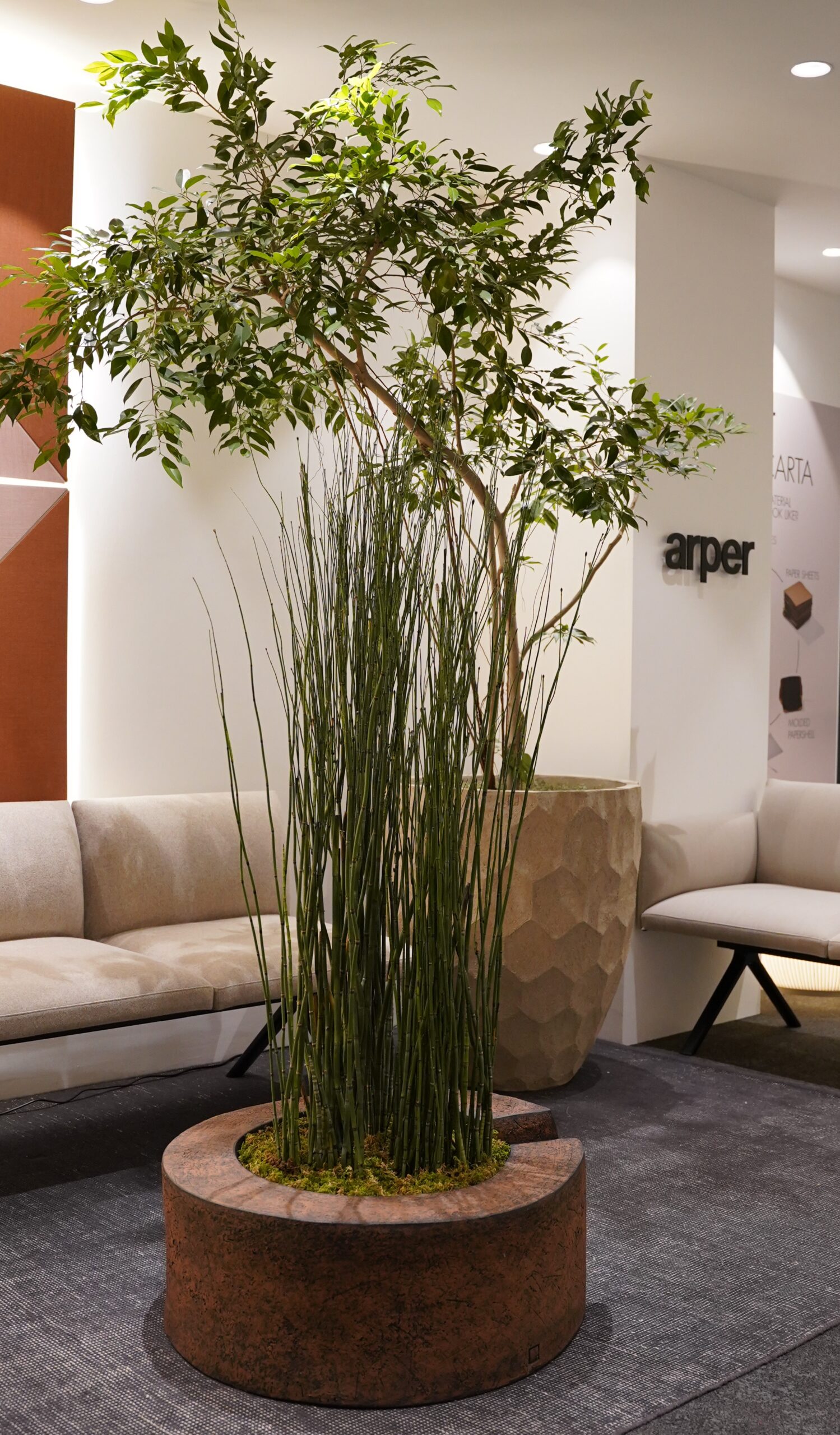 Arperのショールームのグリーン