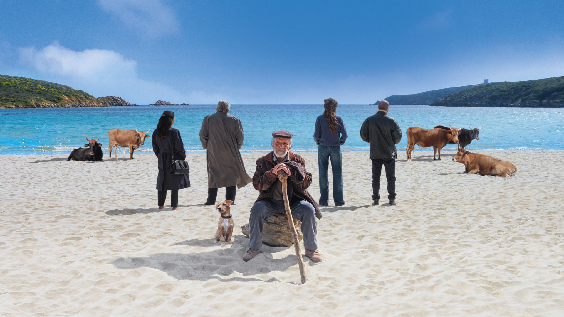 映画「人生はそういうもの」の場面