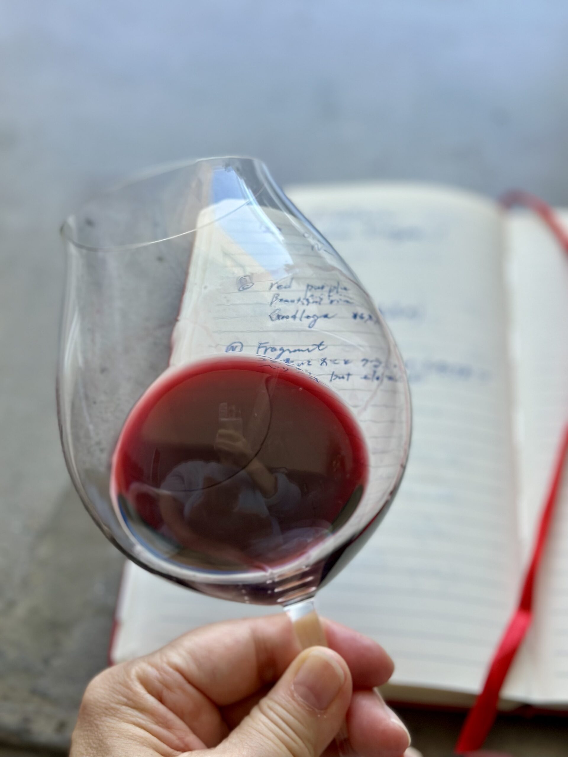 グラスに入った赤ワインの色を確認する様子