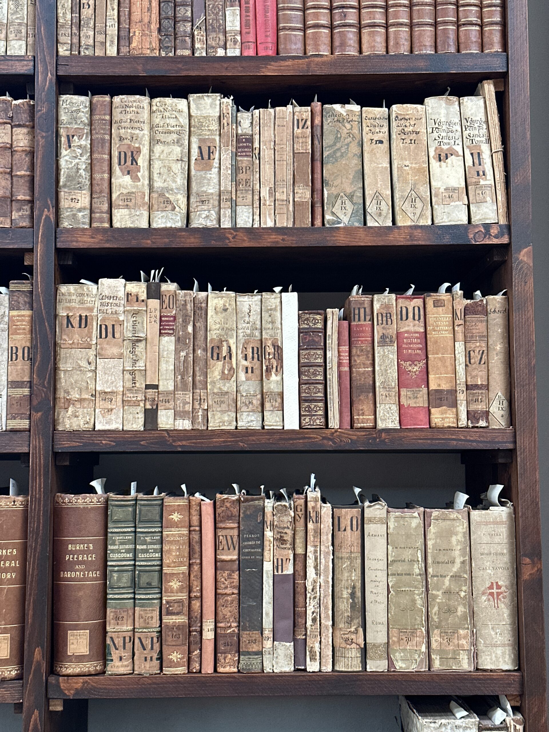 私設図書館Codex49Rossoの書棚